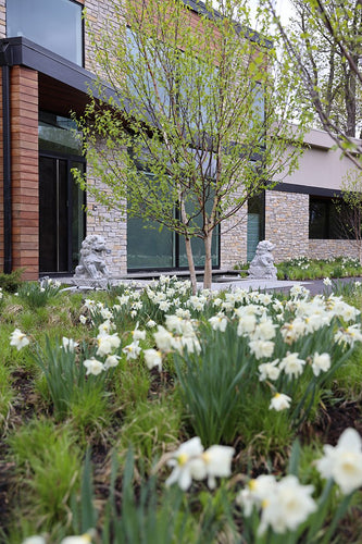 Contemporary Serenity