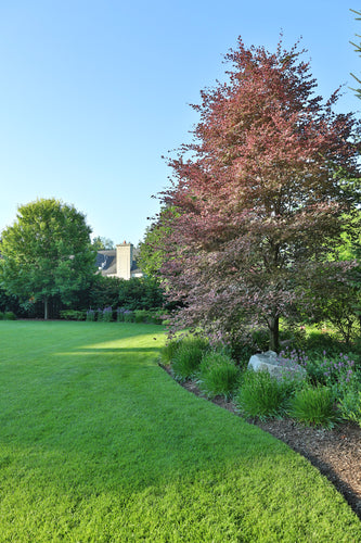 Northbrook Modern Elegance