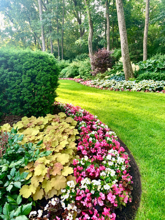 Lake Forest Preserve