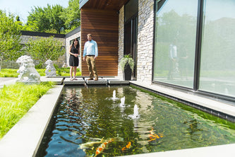 Contemporary Serenity