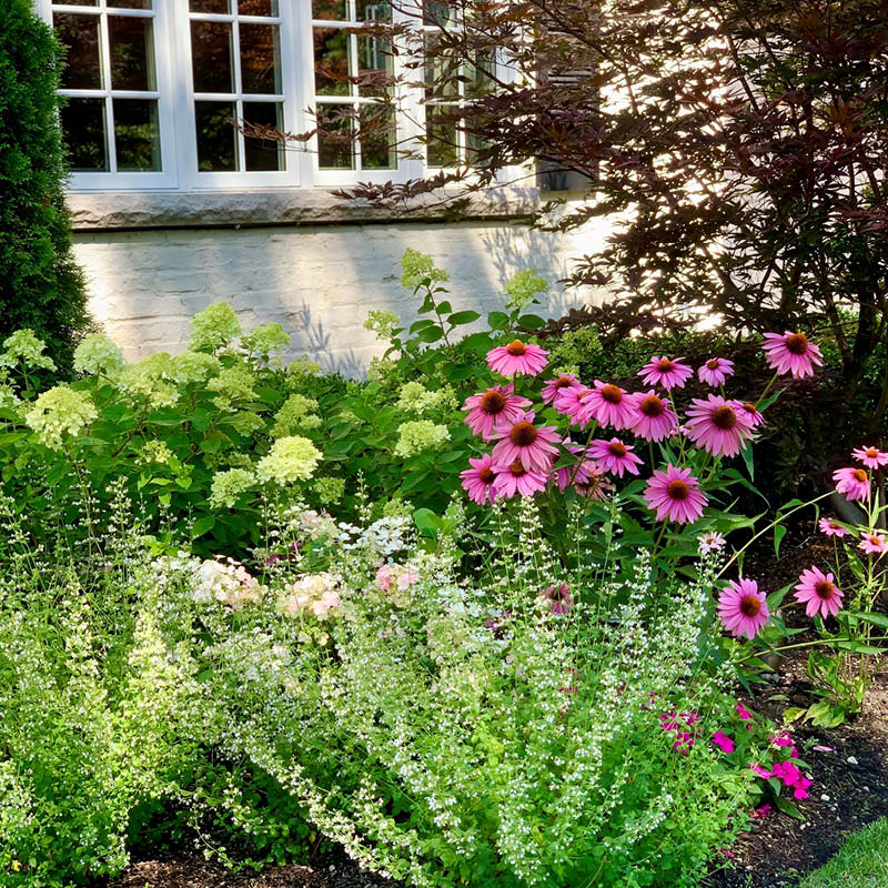 Landscape | A La Carte Services