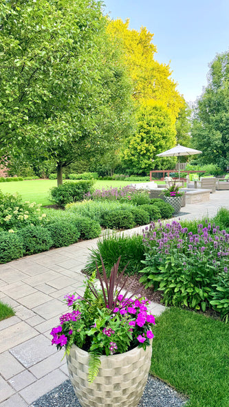 Northbrook Modern Elegance