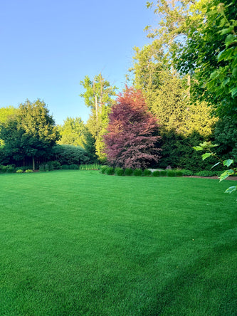 Northbrook Modern Elegance