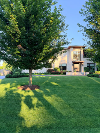 Northbrook Modern Elegance