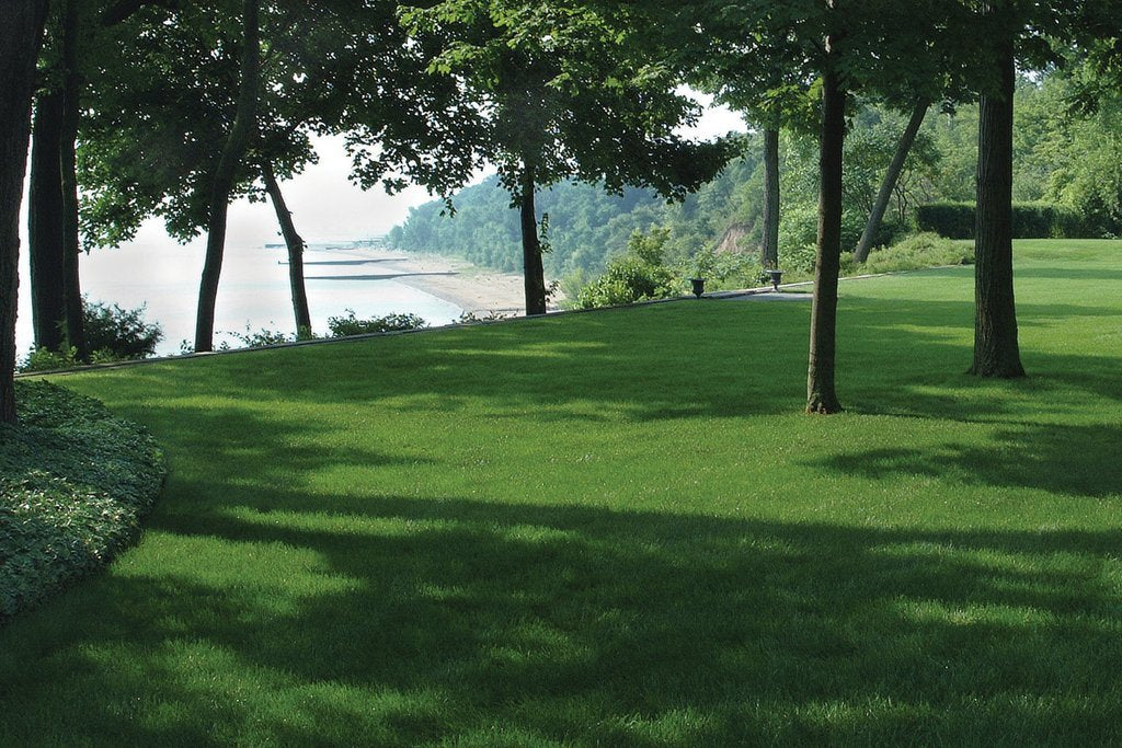 Landscape Management