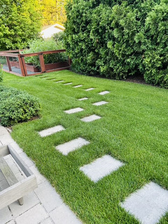 Northbrook Modern Elegance