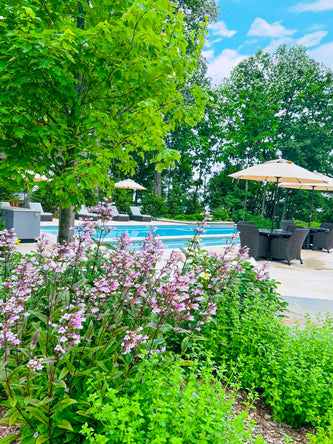 Lake Geneva Sanctuary