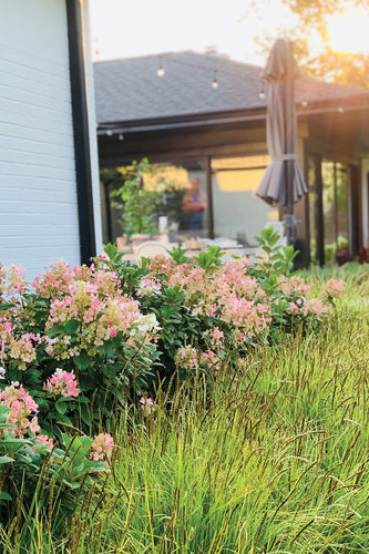 Glenview Modern Ranch