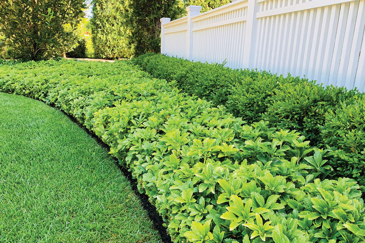 Landscape Management