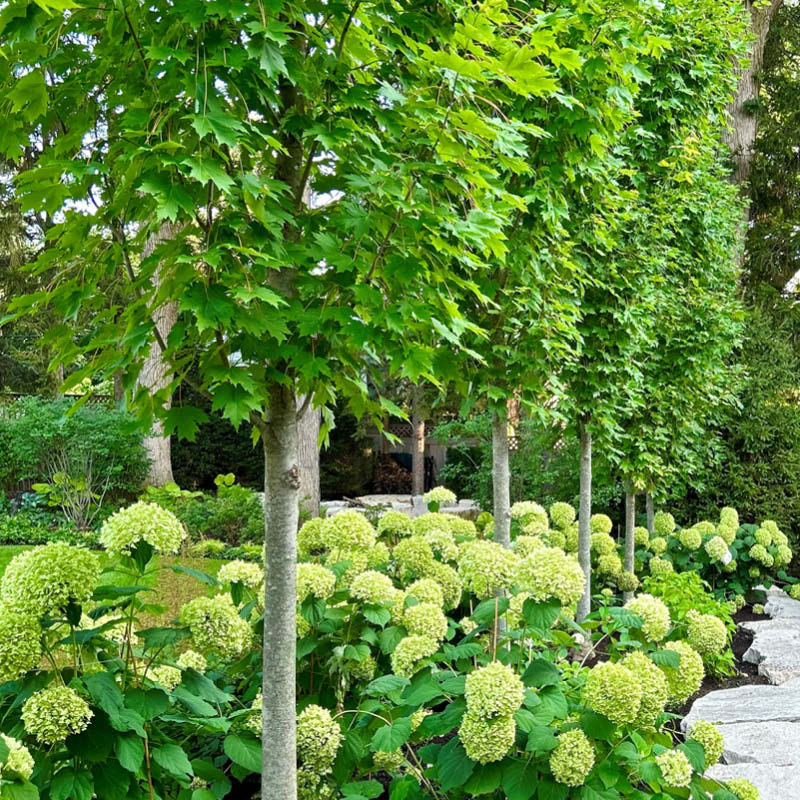 Chalet Landscape Enhancement Services