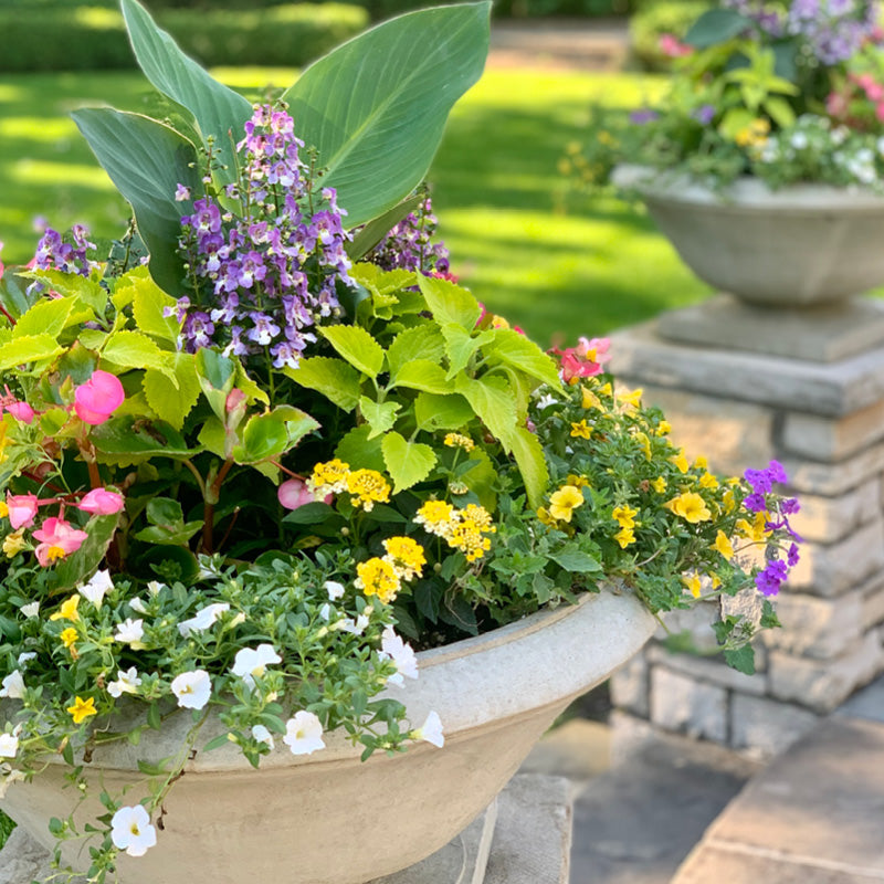 Landscape | A La Carte Services