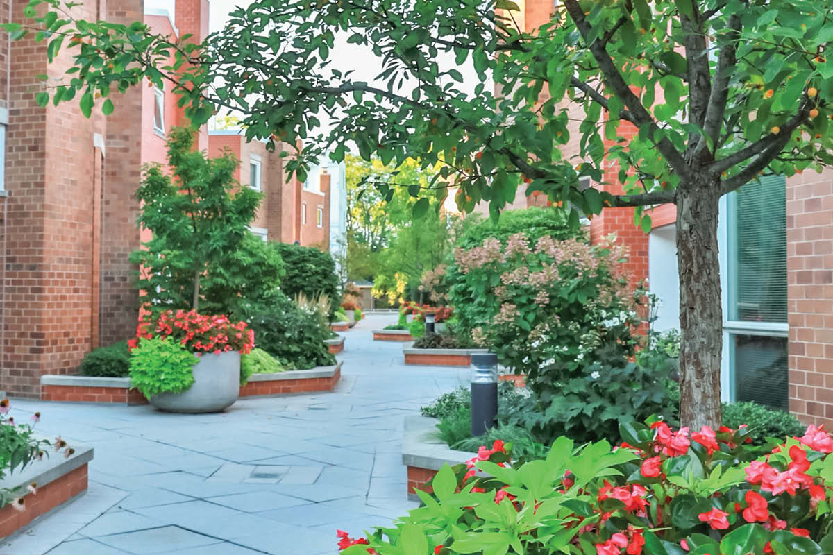 Commercial Maintenance Services