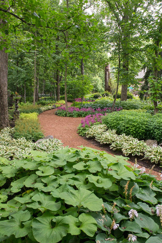 Highland Park Serenity