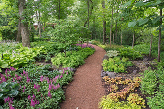 Highland Park Serenity