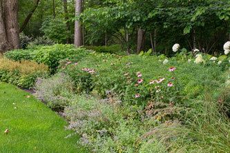 Highland Park Serenity