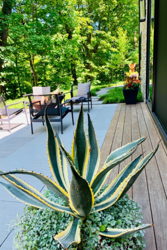 Contemporary Serenity