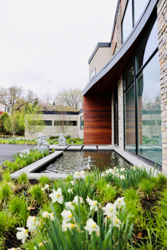 Contemporary Serenity