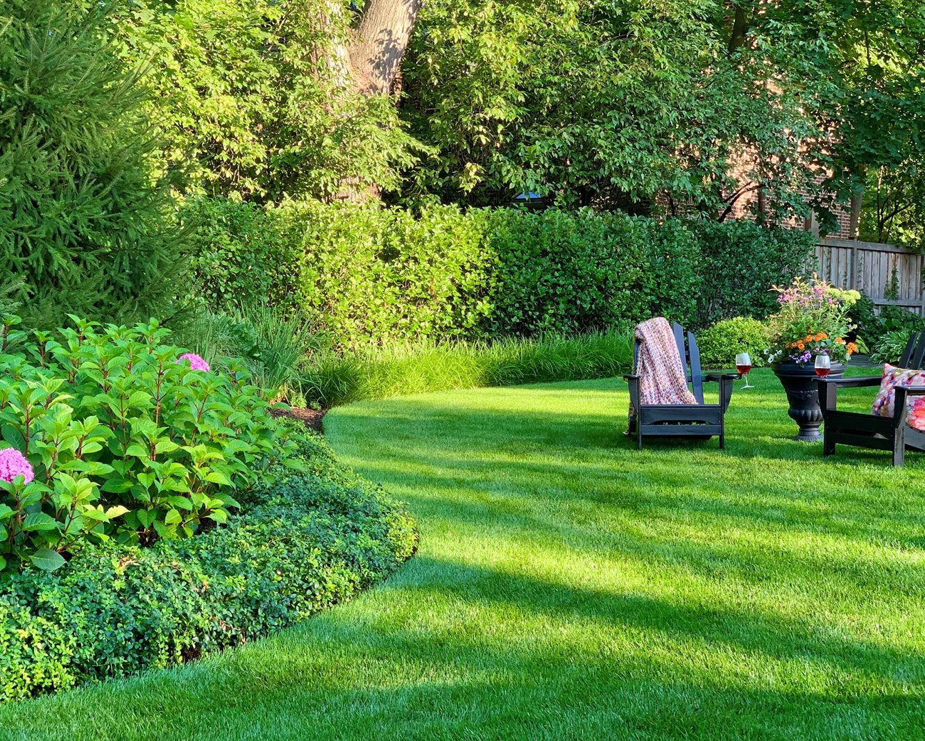 SummerScape Checkup